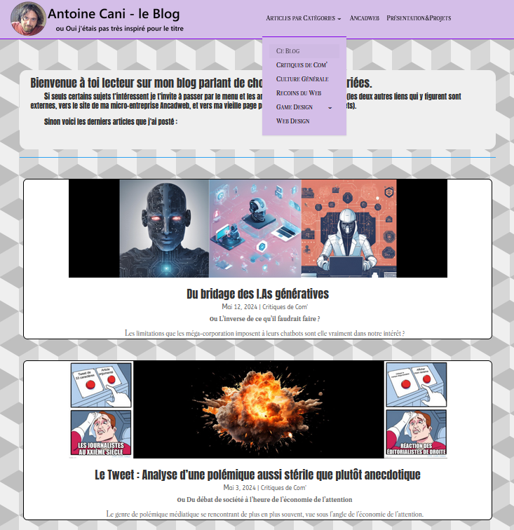 Antoine Cani Le Blog - liste articles